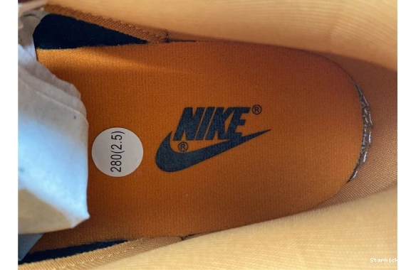 Nike Ceramic (2020) Dunk Low DA1469-001 1230